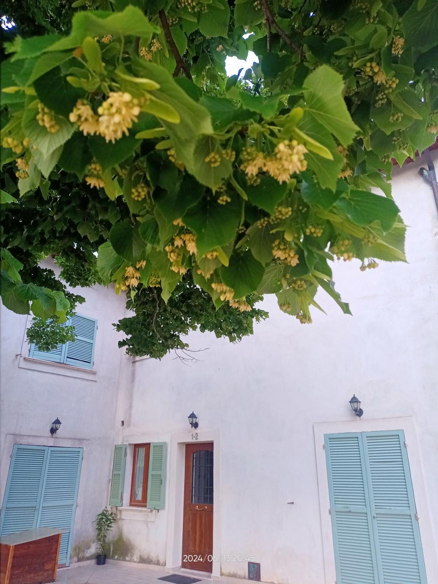 Agriturismo San Martino Foligno Ngoại thất bức ảnh