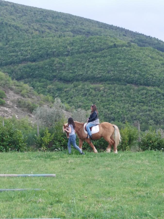 Agriturismo San Martino Foligno Ngoại thất bức ảnh