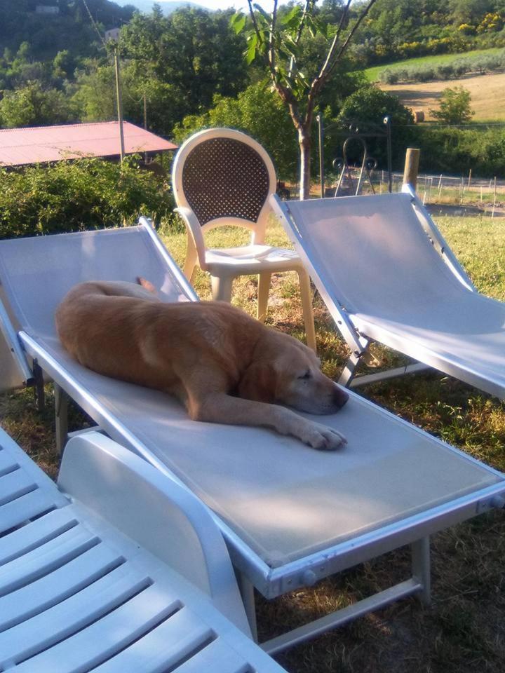 Agriturismo San Martino Foligno Ngoại thất bức ảnh